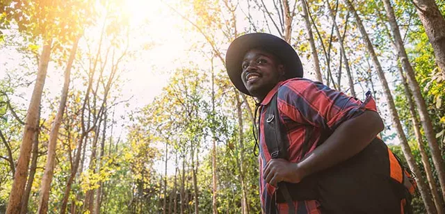 Experienced Psychotherapists